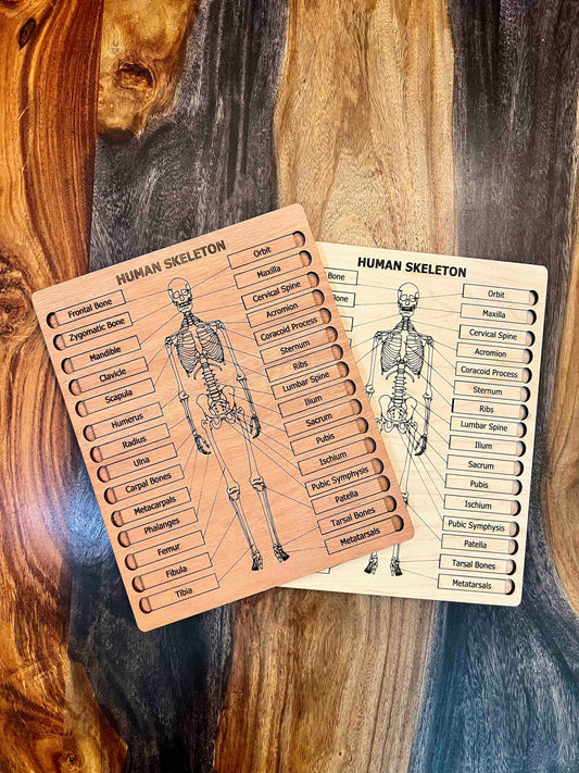 Human Skeleton Puzzle